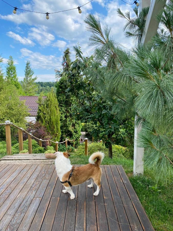 Casa Cu Suflet Otel Sighişoara Dış mekan fotoğraf