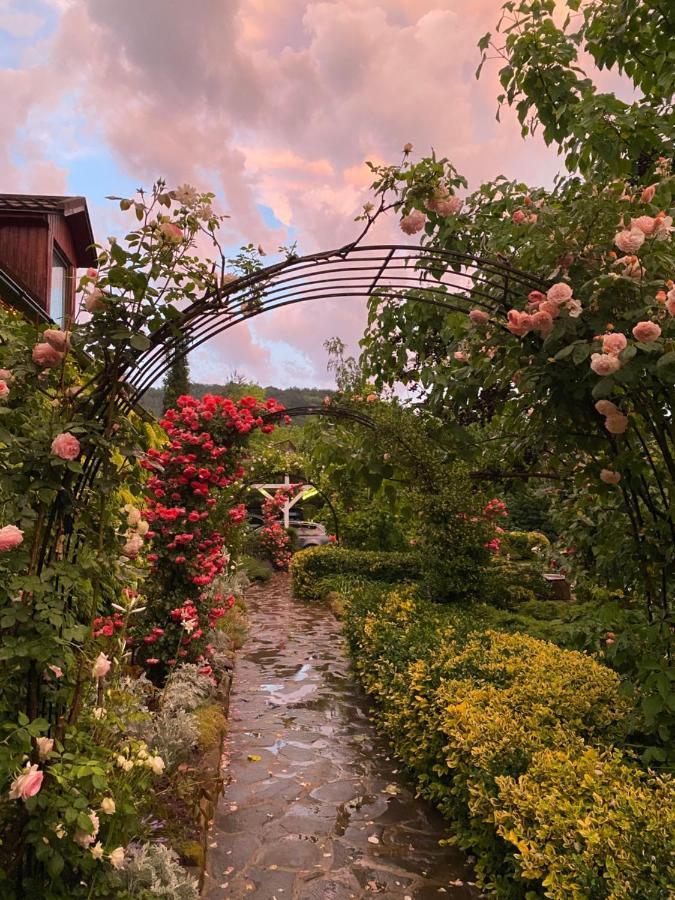 Casa Cu Suflet Otel Sighişoara Dış mekan fotoğraf
