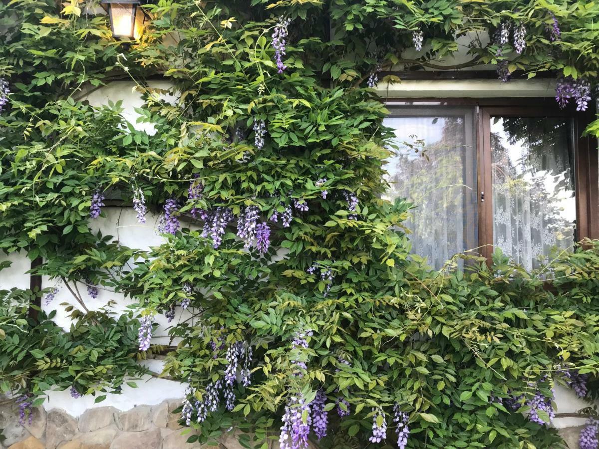 Casa Cu Suflet Otel Sighişoara Dış mekan fotoğraf