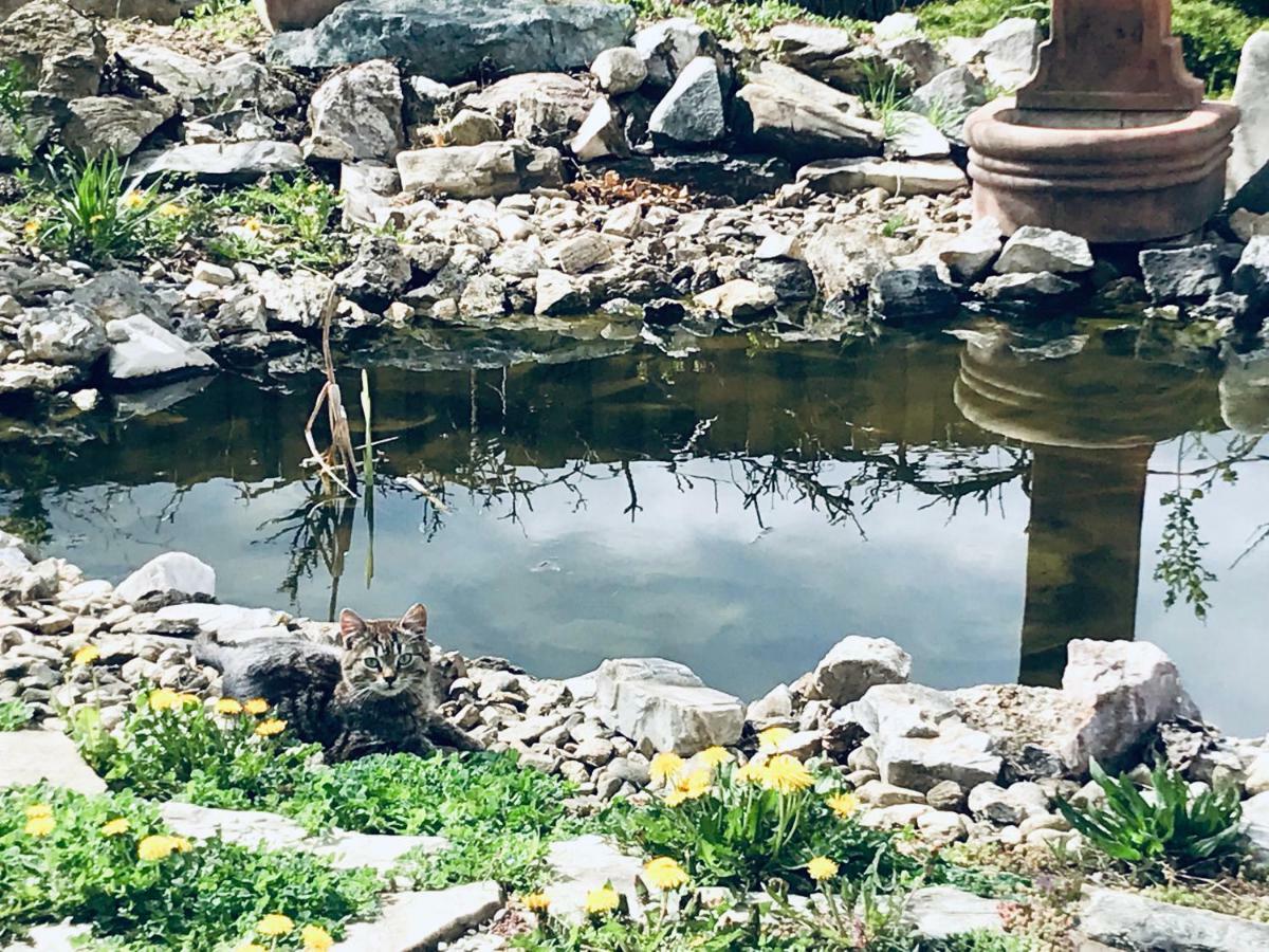 Casa Cu Suflet Otel Sighişoara Dış mekan fotoğraf