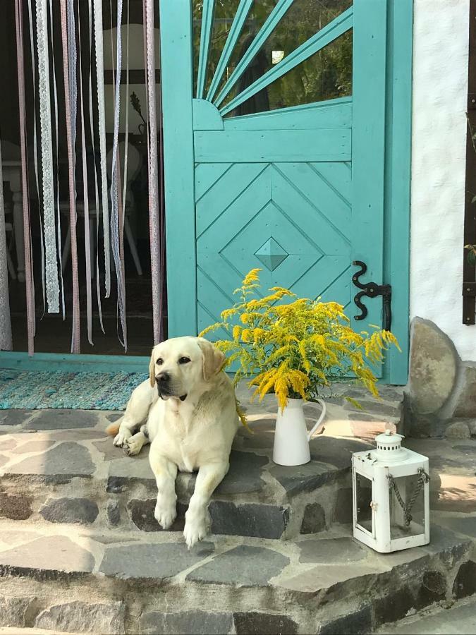 Casa Cu Suflet Otel Sighişoara Dış mekan fotoğraf